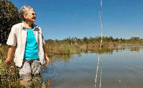Campaigner Kay Davidson on the shores of Hearnes Lake. Campaigner Kay Davidson on the shores of Hearnes Lake.